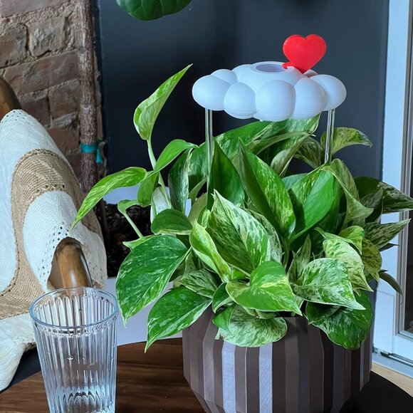 Original Dripping Rain Cloud with Heart Charm, Gift for Plant Lovers - Picture 5 of 7